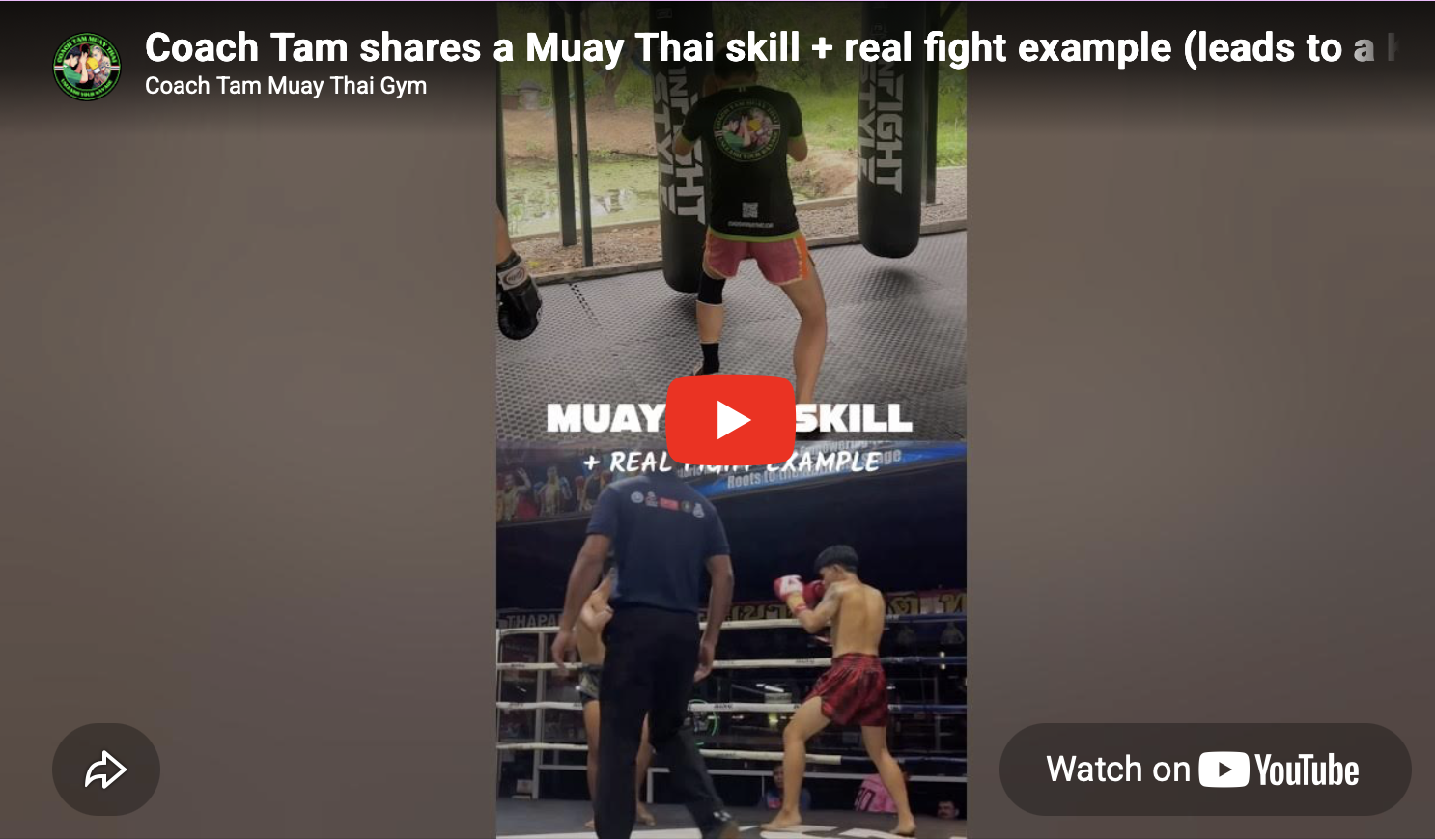 Muay Thai skill + real fight example (leads to a KO)