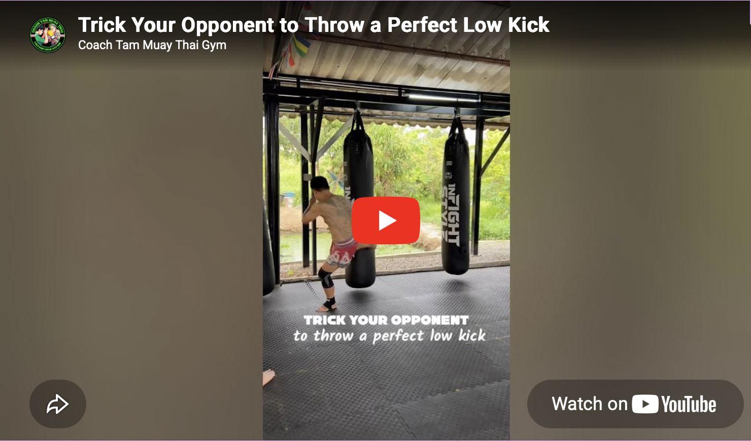 Trick Your Opponent to Throw a Perfect Low Kick